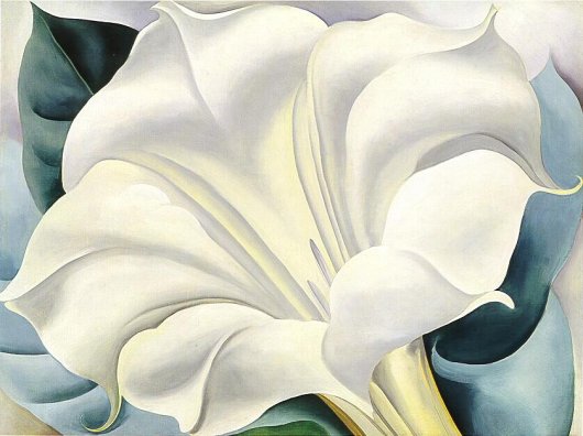 Georgia O'Keeffe: White Trumpet Flower - 1932