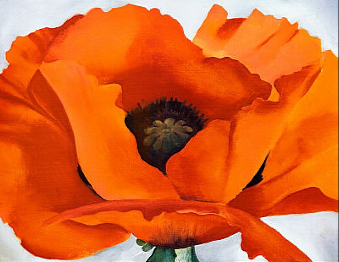 Larger view of Georgia O'Keeffe: Red Poppy - 1927