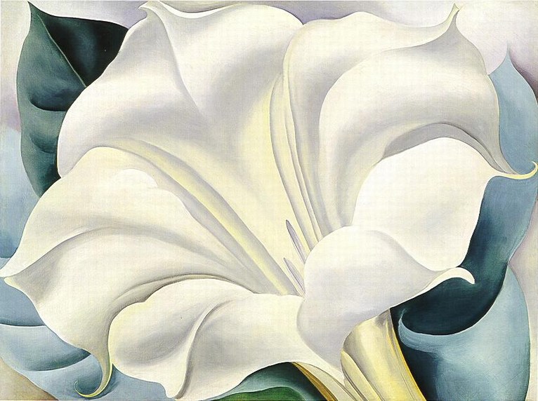 Larger view of Georgia O'Keeffe: White Trumpet Flower - 1932