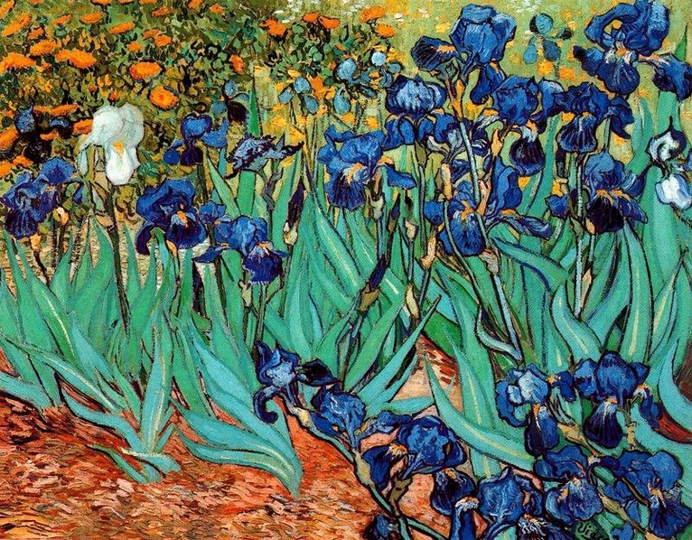 Larger view of Vincent van Gogh: Irises - 1889